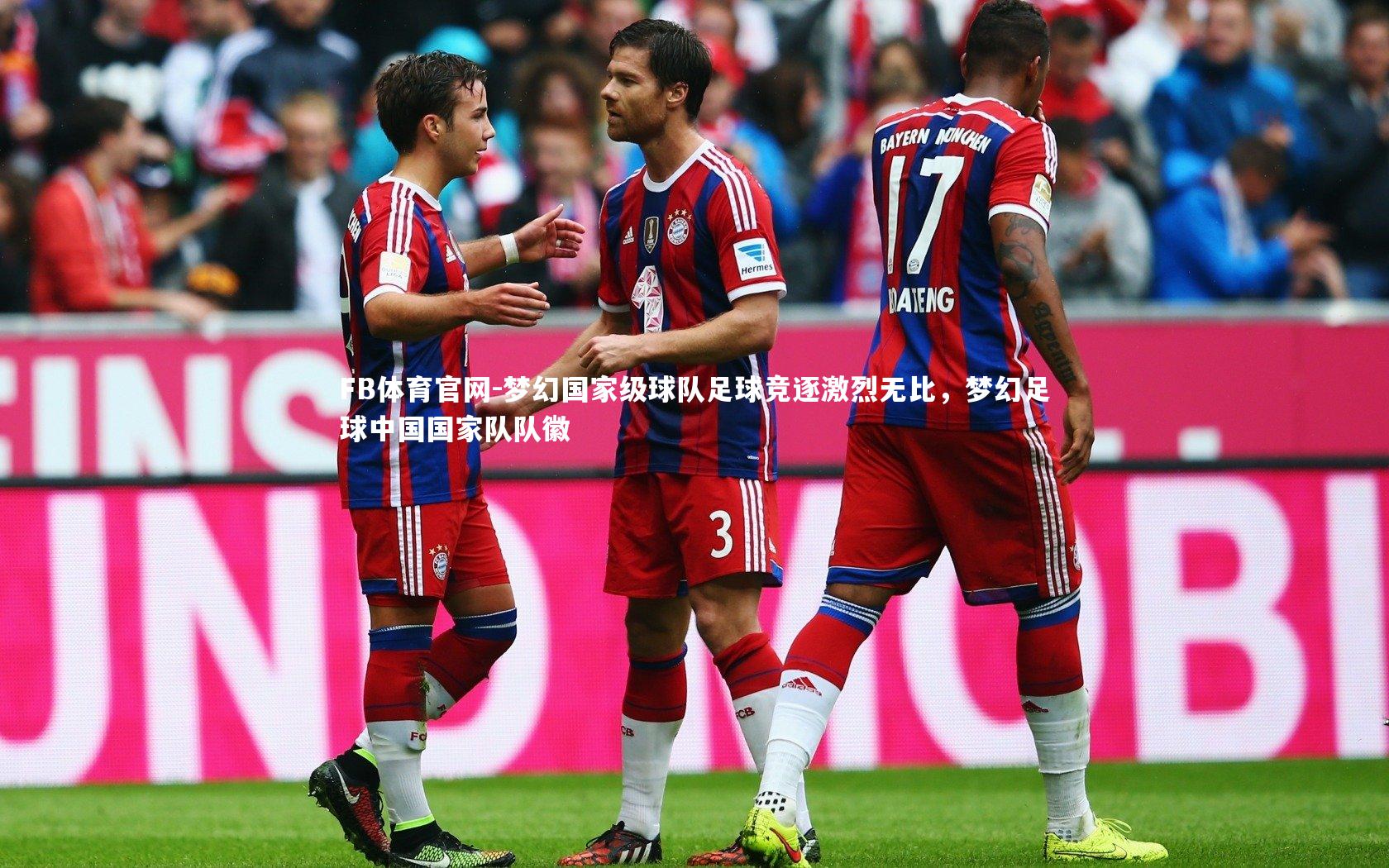 梦幻国家级球队足球竞逐激烈无比，梦幻足球中国国家队队徽