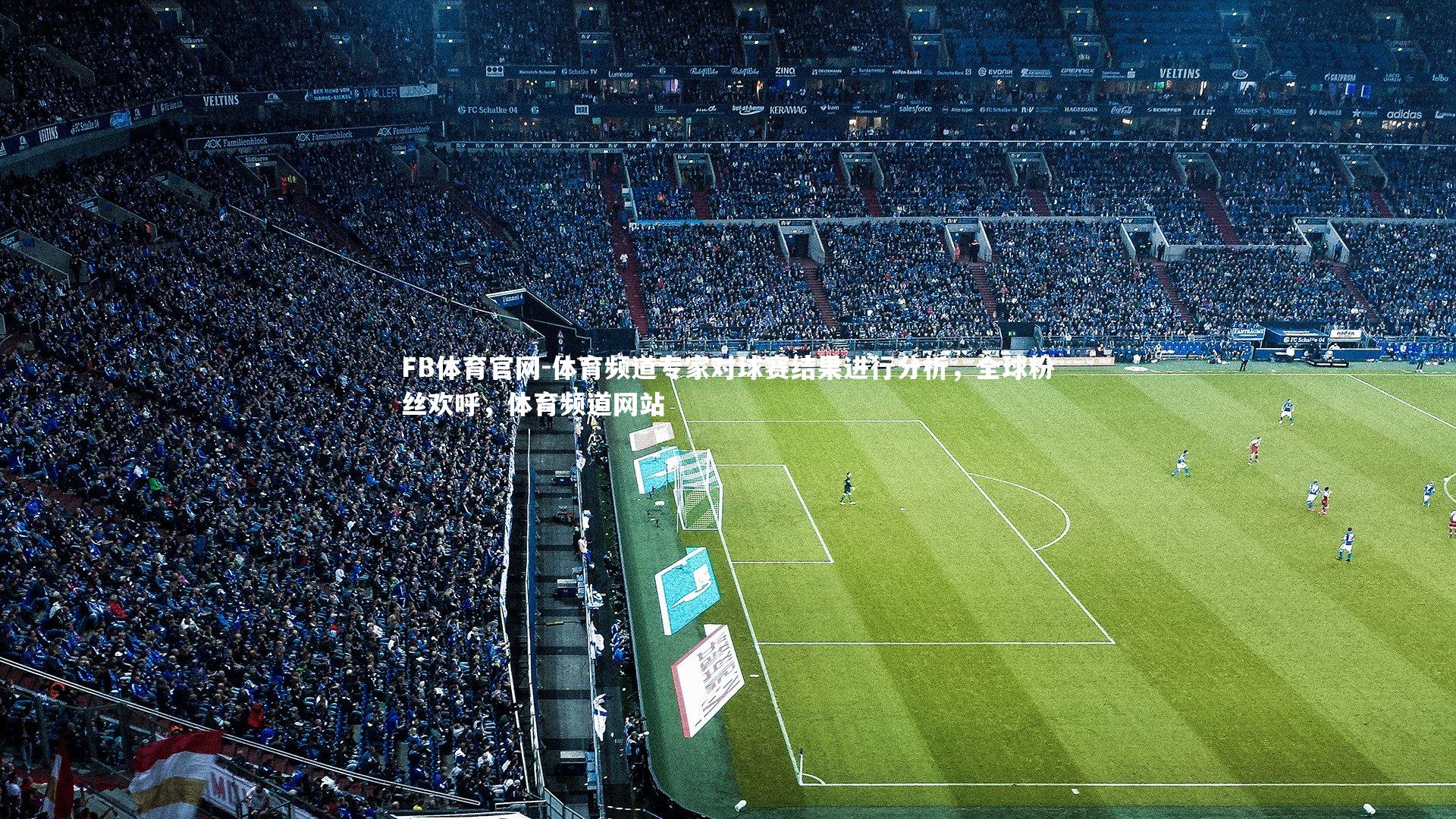 体育频道专家对球赛结果进行分析，全球粉丝欢呼，体育频道网站